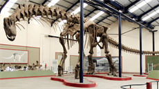 Gigantická kostra titanosaurního sauropoda druhu Argentinosaurus huinculensis v...
