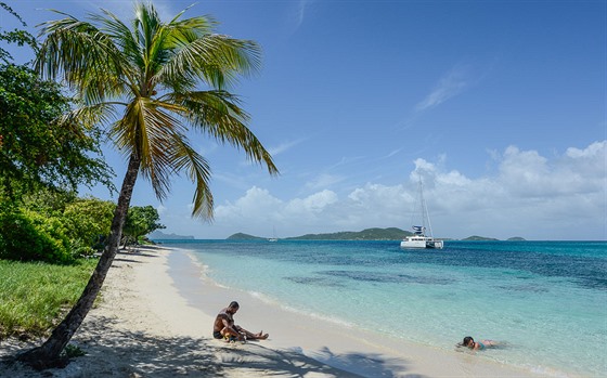 Malé Antily v Karibiku se mohou pochlubit celou adou nádherných pláí bez...
