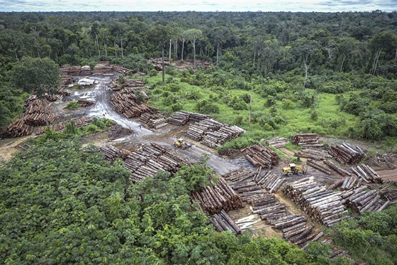 Tba deva v amazonské oblasti Pirititi (8. kvtna 2018)