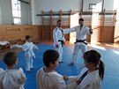 Prvci se v nkterch libereckch kolch u v rmci tlocviku judo.