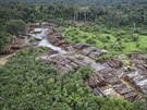 Tba deva v amazonské oblasti Pirititi (8. kvtna 2018)