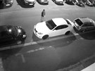 Kamera zachytila vandala pi nien zaparkovanho auta v ikov ulici v Plzni.