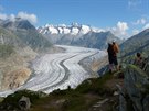 Aletschský les je spolu s ledovcem a pohoím Jungfrau pod ochranou UNESCO.