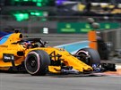 Fernando Alonso v McLarenu se speciálním lakem bhem tréninku na Velkou cenu...