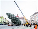 Instalace vánoního stromu na Masarykov námstí v Hradci Králové (27.11.2018).