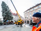 Instalace vnonho stromu na Masarykov nmst v Hradci Krlov (27.11.2018).
