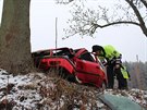 �idi� �kody Octavia narazil do stromu u Bohda��na na Broumovsku (22. 11. 2018).