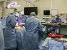 Hemikorporektomie trvala �estn�ct hodin a pod�lelo se na n� dvaadvacet...