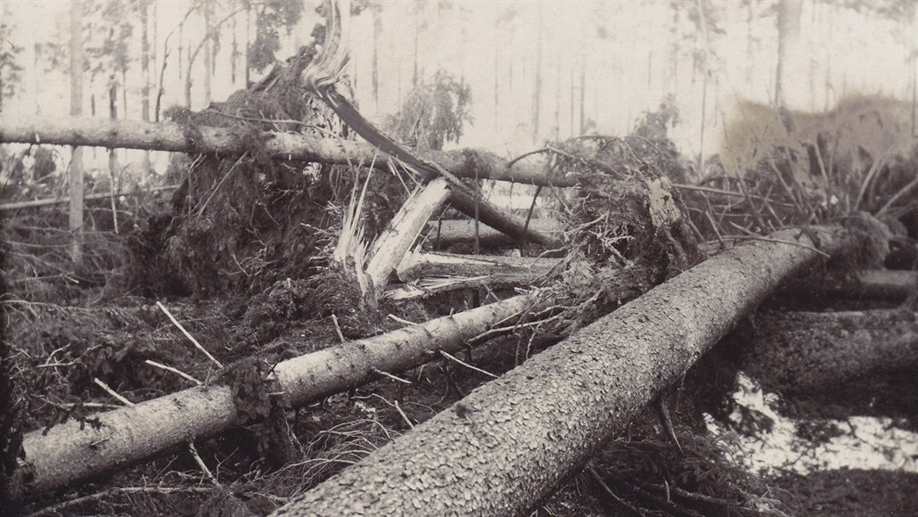 Po kalamitě v roce 1930 přišlo Žďársko o velkou část lesů.