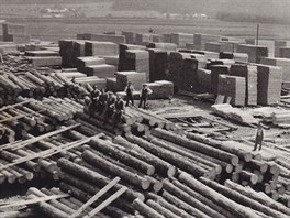 Po kalamit v roce 1930 pilo rsko o velkou st les.