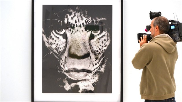 Micka Jaggera propojil na fotografii s leopardem.