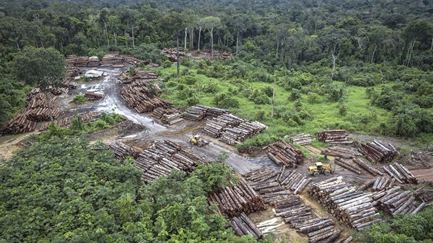 Těžba dřeva v amazonské oblasti Pirititi (8. května 2018)