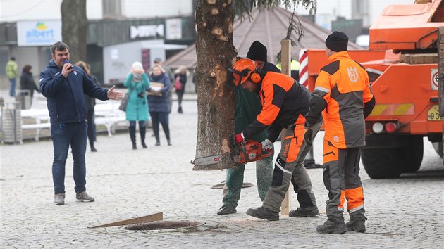 Letonm vnonm stromem v Jihlav bude smrk ztepil ze Zimn ulice v Hornm Kosov. Pracovnci Slueb msta Jihlavy ho uzli, naloili na kamion a vztyili na Masarykov nmst. Rozsvcen bude v nedli v podveer.