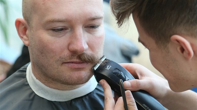 V novomstsk nemocnici si v rmci akce Movember nechalo knry oholit na sedm destek lid. Pkladem li mnoz sportovci ze rska.