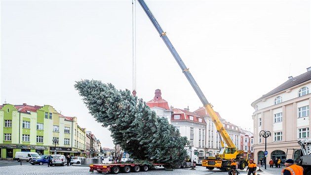 Instalace vnonho stromu na Masarykov nmst v Hradci Krlov (27.11.2018).