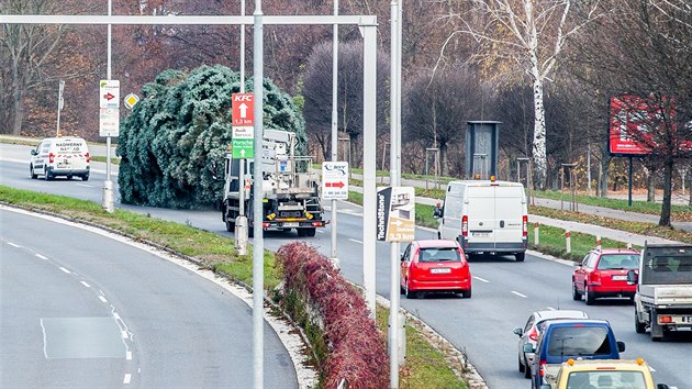 Kamion veze vnon strom z hradeckch Malovic na Masarykovo nmst.