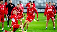 Jindich Trpiovský, trenér fotbalové Slavie.