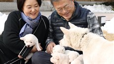Psímu páru darovanému od KLDR se v Jižní Koreji narodilo šest štěňat (27. 11....