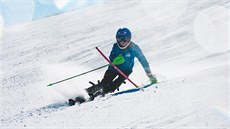 Dti lyují ve výcarsku zdarma