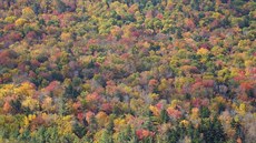 V Nové Anglii, tedy v esti státech severovýchodu USA (Connecticut, New...