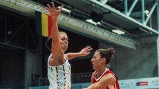 eská rozehrávaka Lenka Bartáková (vpravo) pihrává v duelu s Belgií kolem...