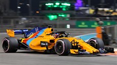 Fernando Alonso v McLarenu se speciálním lakem bhem tréninku na Velkou cenu...