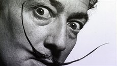 Salvador Dalí