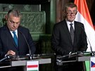 Maarský premiér V. Orbán je mj pítel, ekl eský pedseda vlády A. Babi