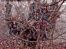 MODLITBA. Lidé sedí na strom v davu truchlících v indickém Kamíru. Místní se...