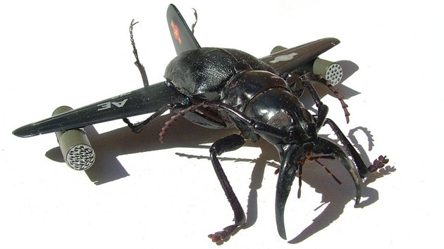 Zatím jen umělecká fantazie. Takto by mohli vypadat hmyzí válečníci vylepšení lidskými technologiemi podle umělce Deana Christa.