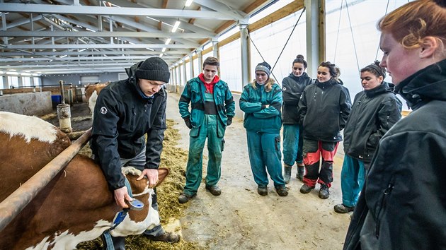 Na kolnm statku v Hoicch dokonili modernizan pravy za skoro 100 milion korun.