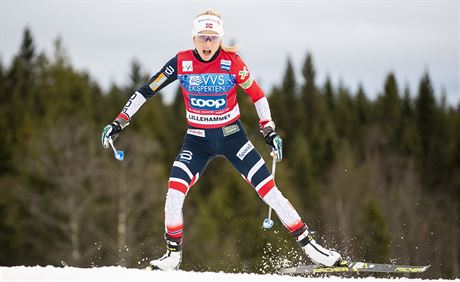 Norská bkyn na lyích Therese Johaugová na trati v Lillehammeru