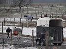 kvli ustájeným koním pijídla na farmu v noci spousta lidí, kteí pomáhali s...