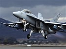 F/A-18 Super Hornet (ilustraní snímek)