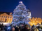 Vánoní strom v Praze (advent 2018)