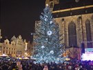 Vánoní strom v Plzni (advent 2018)