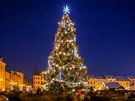 Vánoní strom v eských Budjovicích (advent 2018)