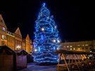 Vánoní strom v Hradci Králové (advent 2018)