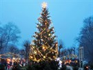 Vnon strom v Karlovch Varech (advent 2018)