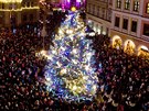 Vánoní strom v Liberci (advent 2018)