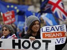 Zastánci brexitu manifestují ped britským parlamentem (6.12.2018)
