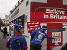 Odprci brexitu manifestují ped britským parlamentem (6.12.2018)