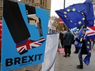 Odprci brexitu manifestují ped britským parlamentem (6. prosince 2018)