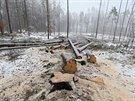 V les�ch kolem Jihlavy je posledn� m�s�ce ru�no (na sn�mku pr�ce u Lesnova)....
