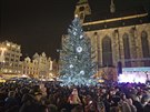 Rozsvcen vnonho stromu na nmst Republiky v Plzni (2. prosince 2018)