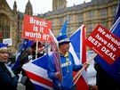 Odprci brexitu ped britským parlamentem (4. 12. 2018)