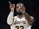 LeBron James (23) z LA Lakers oslavuje svou tkou trefu s faulem do koe...