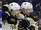 David Pastrák (88) a Brad Marchand (63) oslavují bostonský gól proti Tamp.