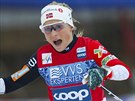 Norská bkyn na lyích Therese Johaugová na trati volné desítky v...