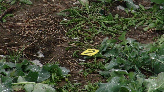 Na �erpac� stanici na M�lnicku zem�ela po loupe�n�m p�epaden� prodava�ka (3.12.2018)